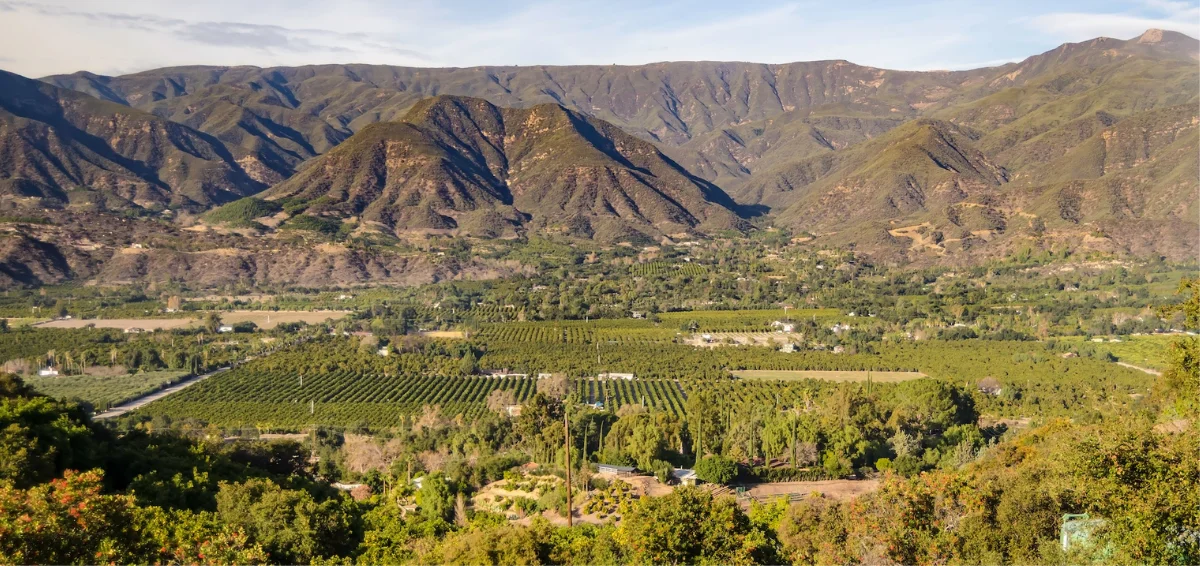 Ojai