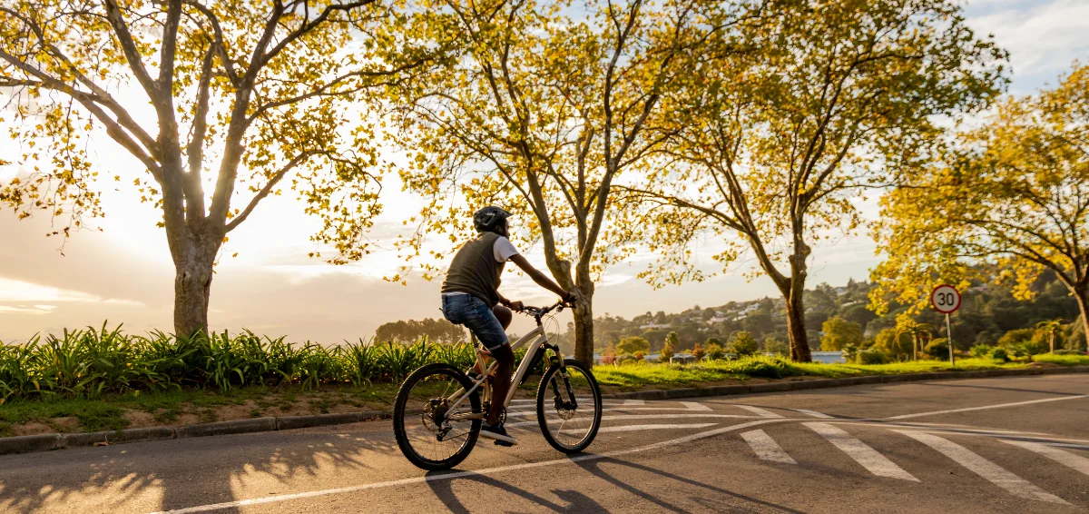 Pedal Holland’s Scenic Bike Paths