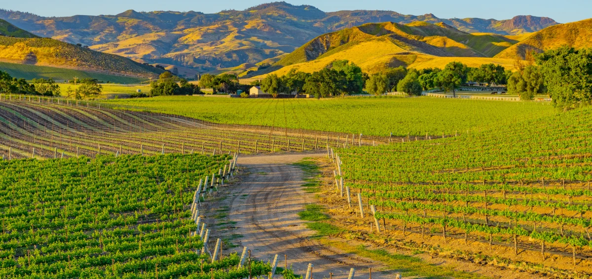 Santa Ynez Valley