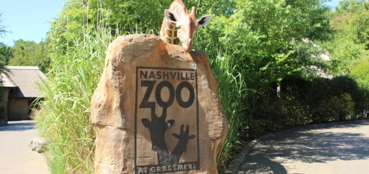 See Rare Animals at Nashville Zoo