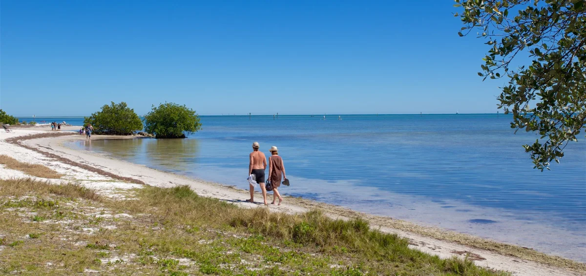 Take a Walk at Curry Hammock State Park