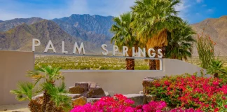 Things To Do In Palm Springs With Kids