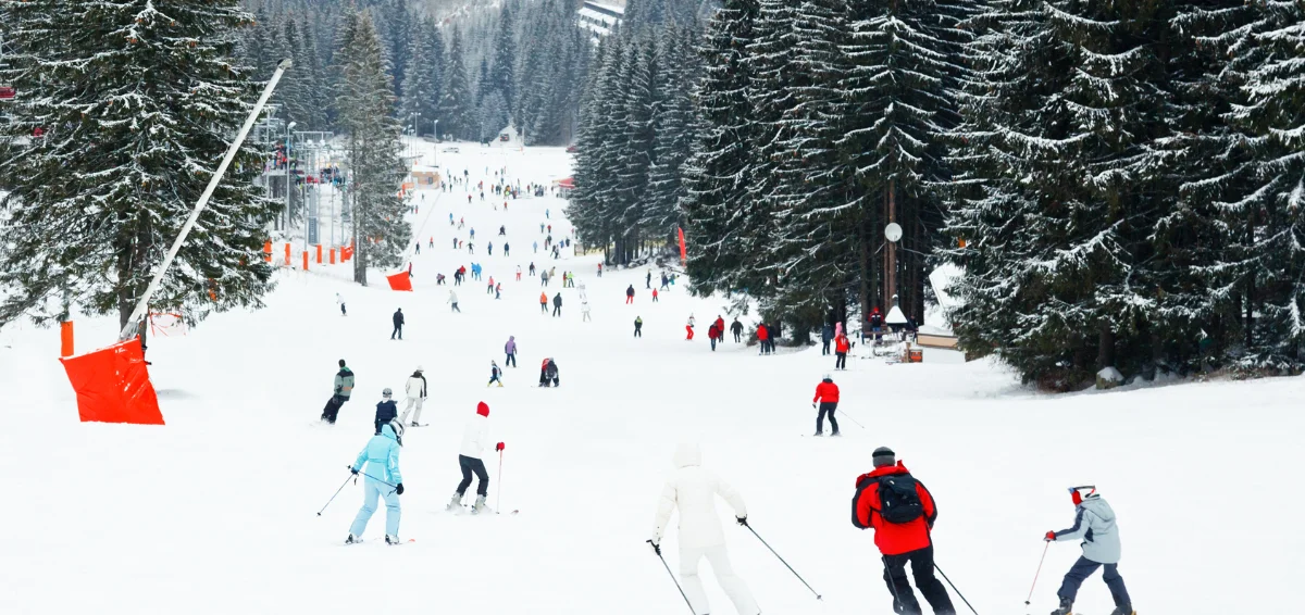 Try Skiing at Cloudmont Ski Resort