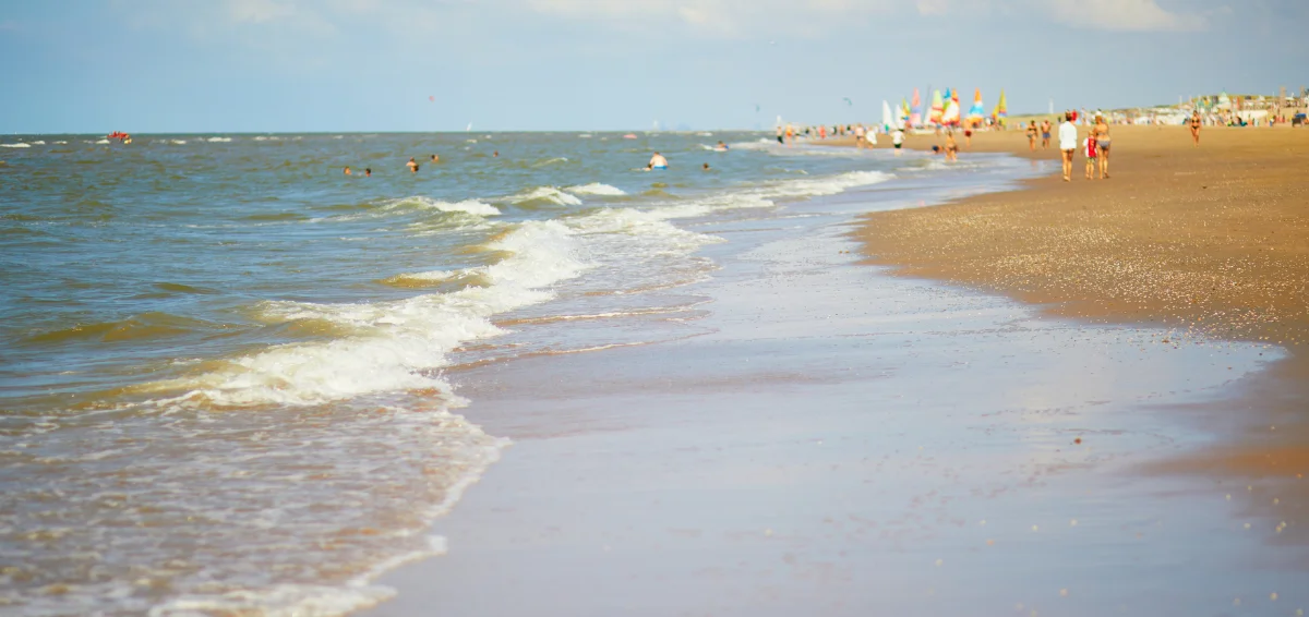 Unwind on a Golden Sand Beach