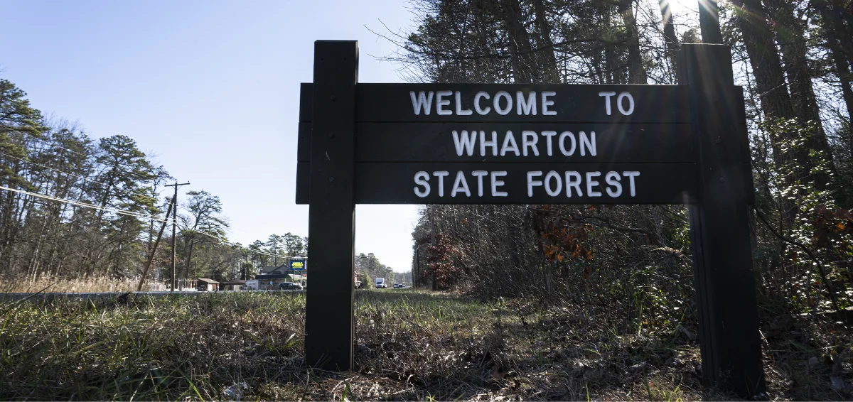 Wharton State Forest, New Jersey