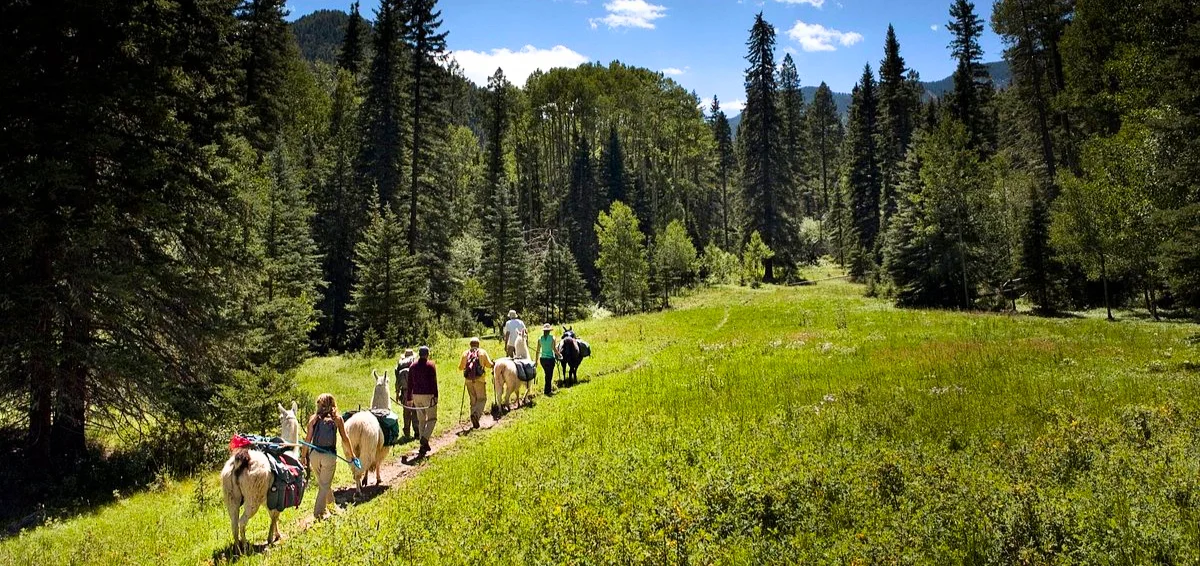 Enjoy the Llama Trekking Adventure