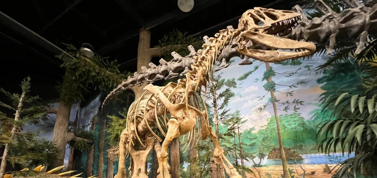 Have Mixed Fun at the Dinosaur Museum and Store