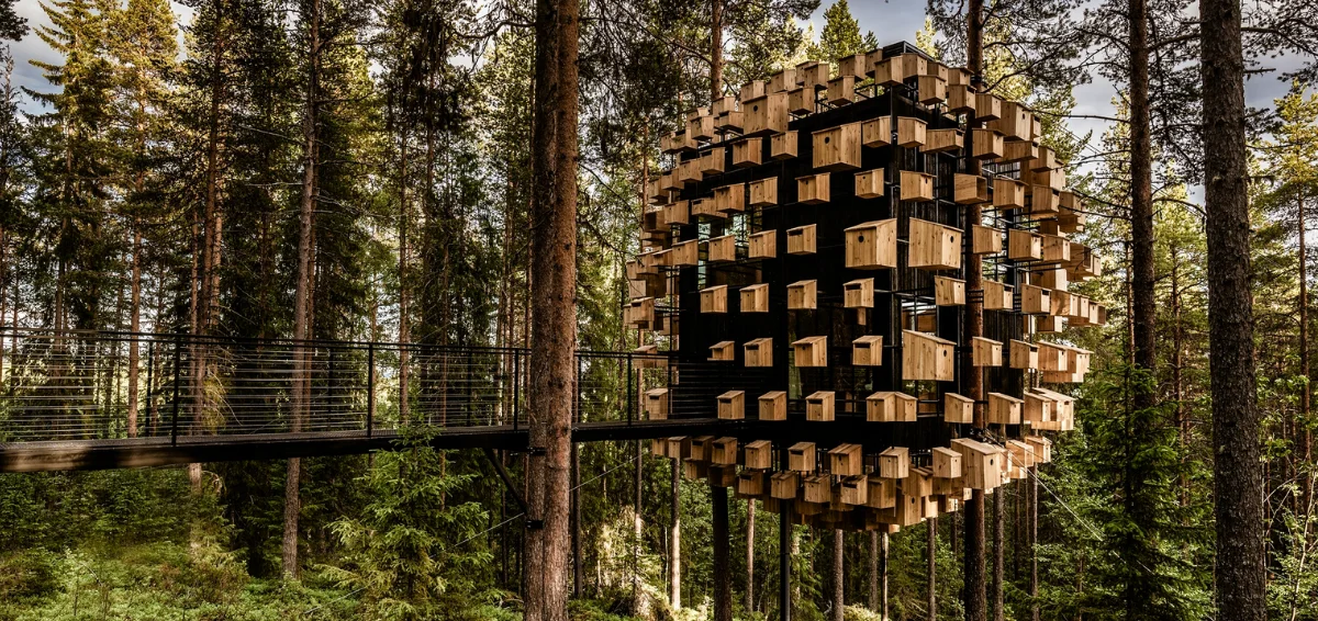 Tree Hotel