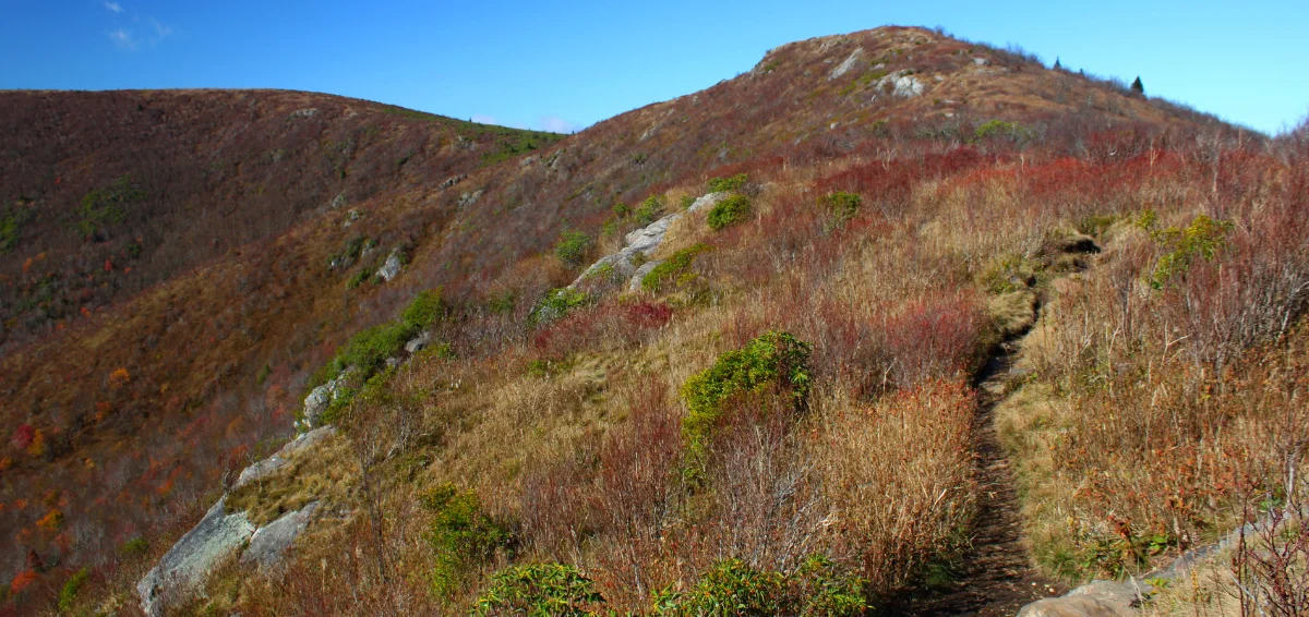 Black Balsam Knob