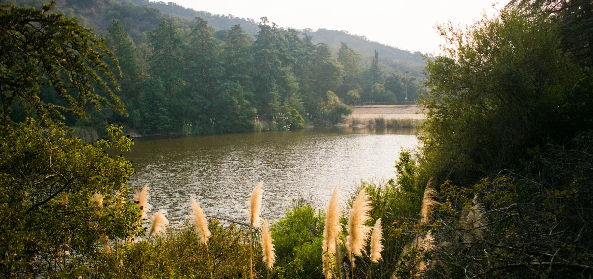 Franklin Canyon Park