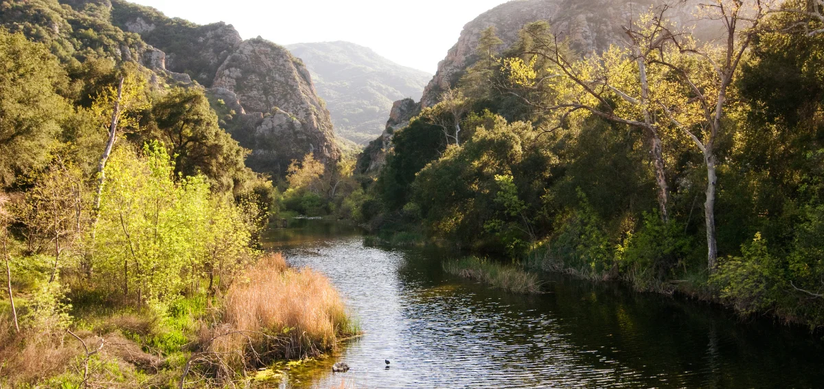 Malibu Creek State Park