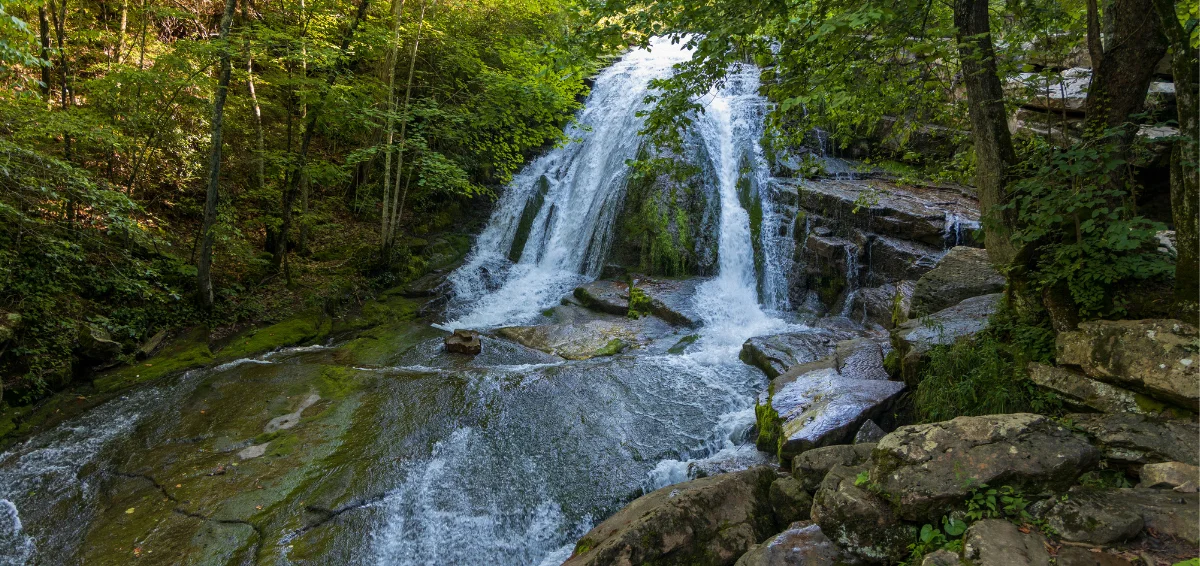 Roaring Run Trail