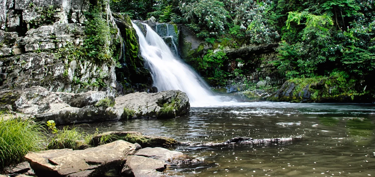 Abrams Falls Trail