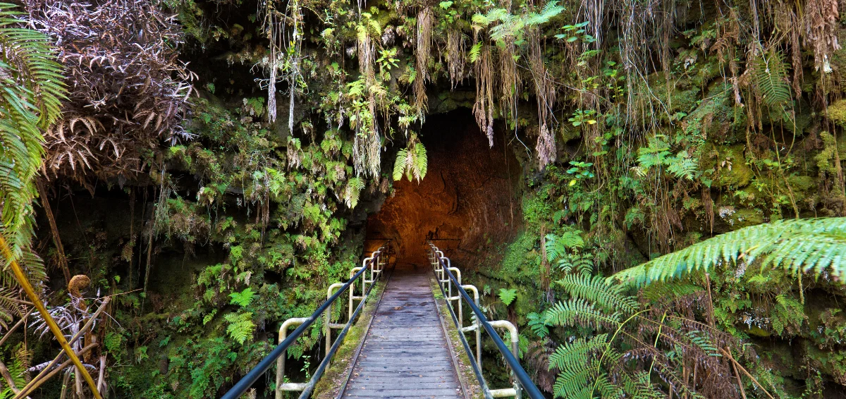 Hana Lava Tube