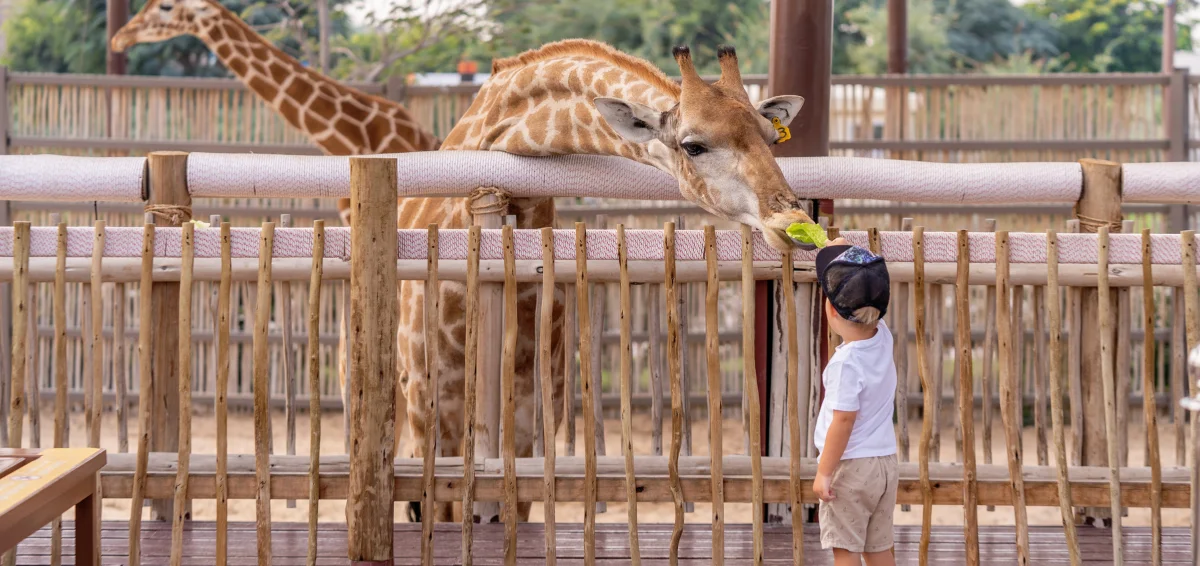 Have an Adventure at Nashville Zoo