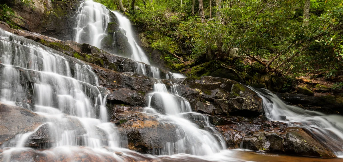 12 Must-Try Gatlinburg Hiking Trails for Nature Lovers