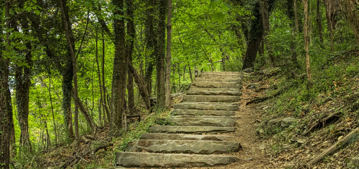 River Place Nature Trail