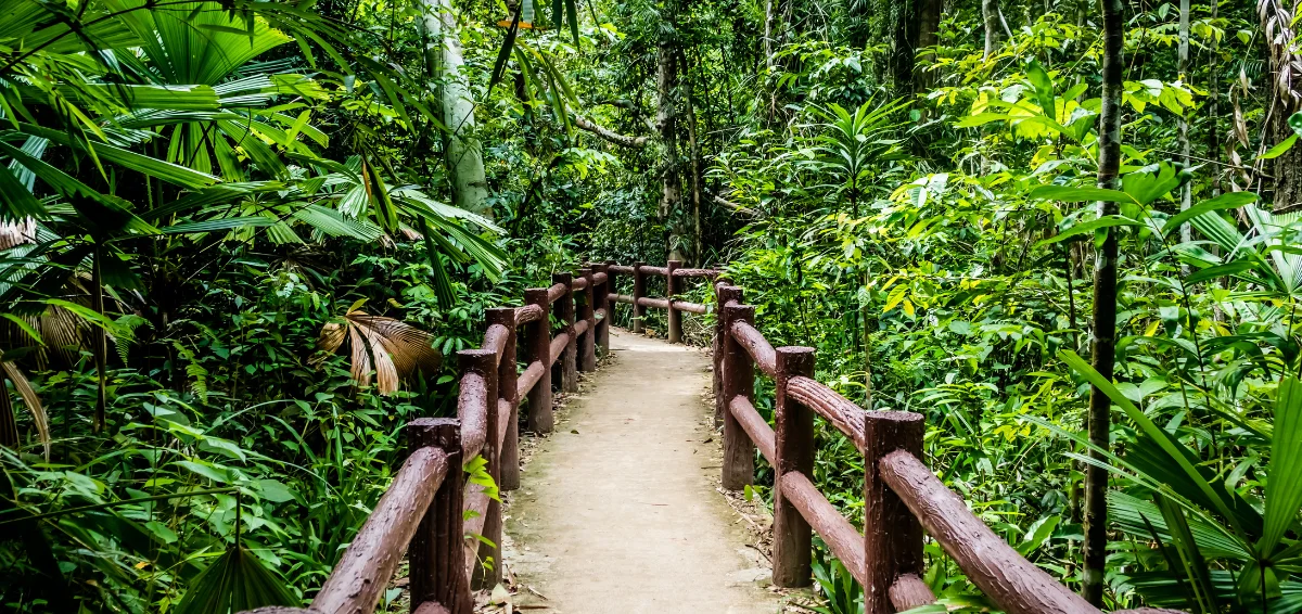 Sugarland Valley Nature Trail