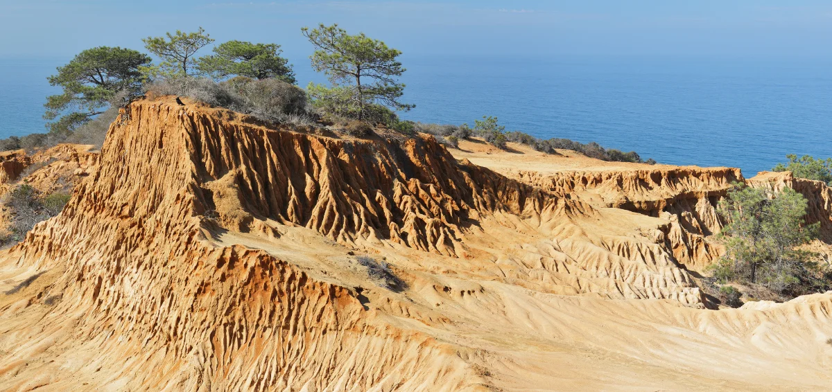 Experience the Charm of Torrey Pines State Natural Reserve