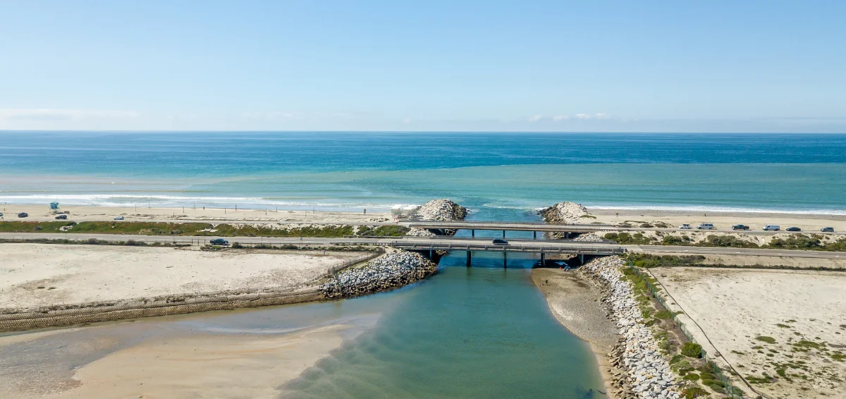 Watch Birds at Batiquitos Lagoon