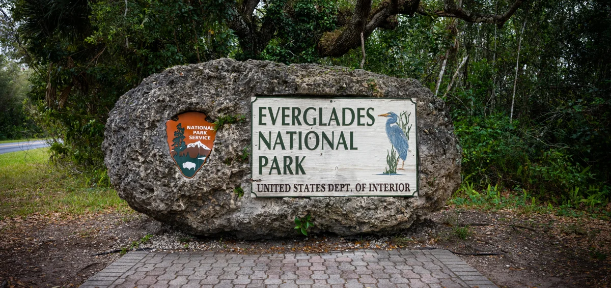 Feel the Beauty of Everglades National Park