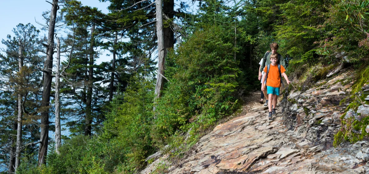 Hike at Great Smoky Mountains National Park