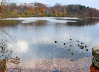 Lakes in Ohio