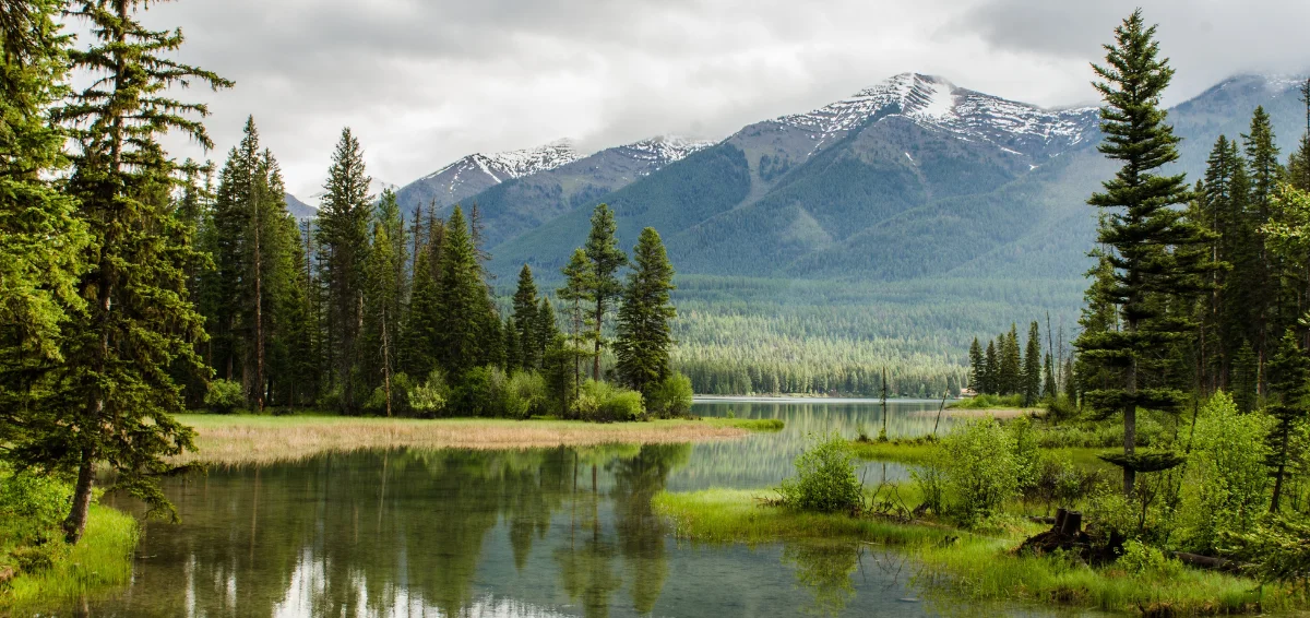 Waldo Lake