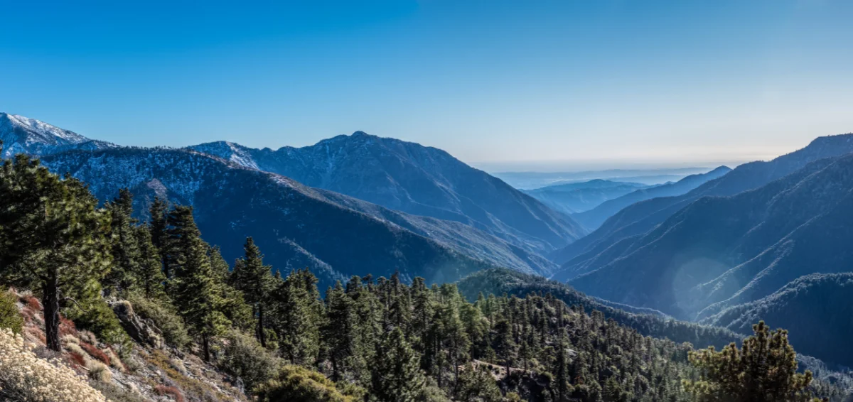 Angeles National Park