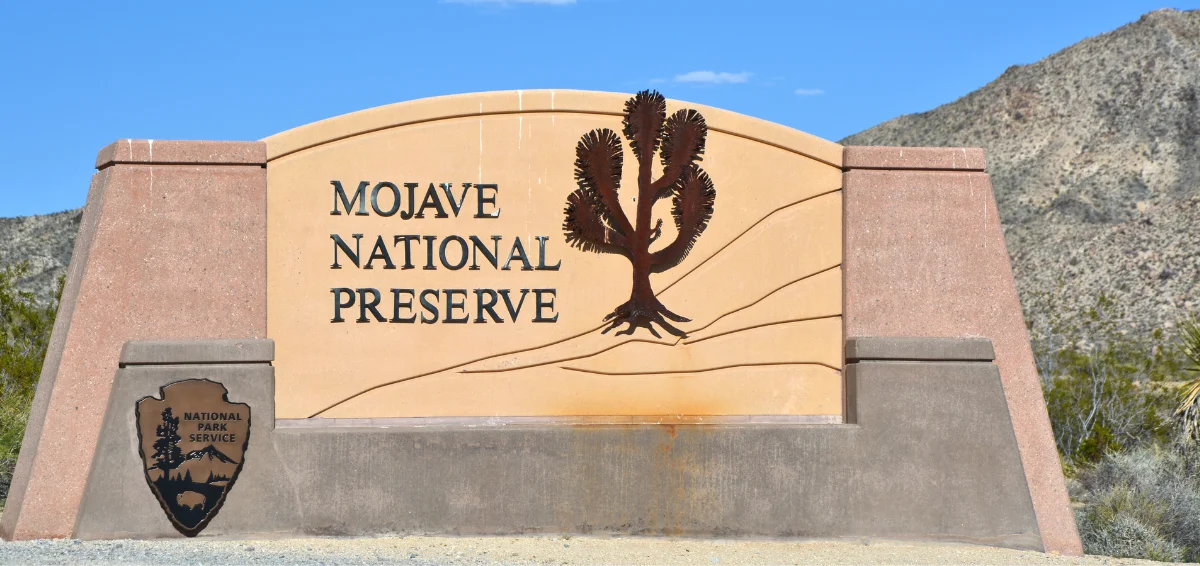 Mojave National Preserve