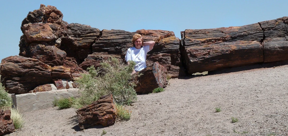 Petrified National Park