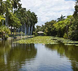 Fort Lauderdale Beach Attraction: Bonnet House Museum & Gardens