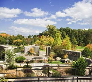 Asheville Attraction: North Carolina Arboretum