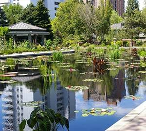 Denver Attraction: Denver Botanic Gardens