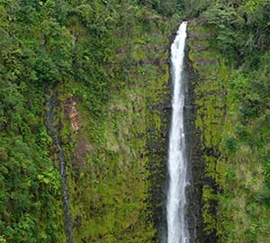 Hawaii - The Big Island Attraction: Akaka Falls State Park and Kahuna Falls