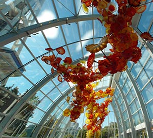 Seattle Attraction: Chihuly Garden and Glass